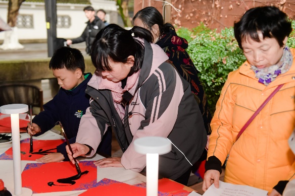 图片15 图片15